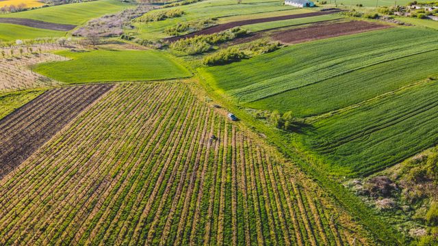 Crédito Rural: como funciona e por que o planejamento é importante